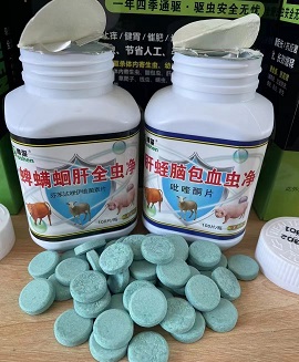 吡喹酮片